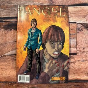 Angel Spotlight Connor #1 IDW Publishing Bob Gill Cover Modern Age 2006